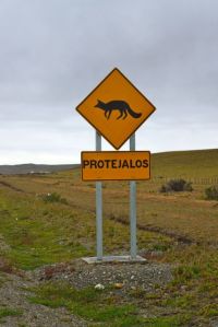 The sign requests us to protect it, but what the hell is the endangered split-headed-beavertail -asaurus?!